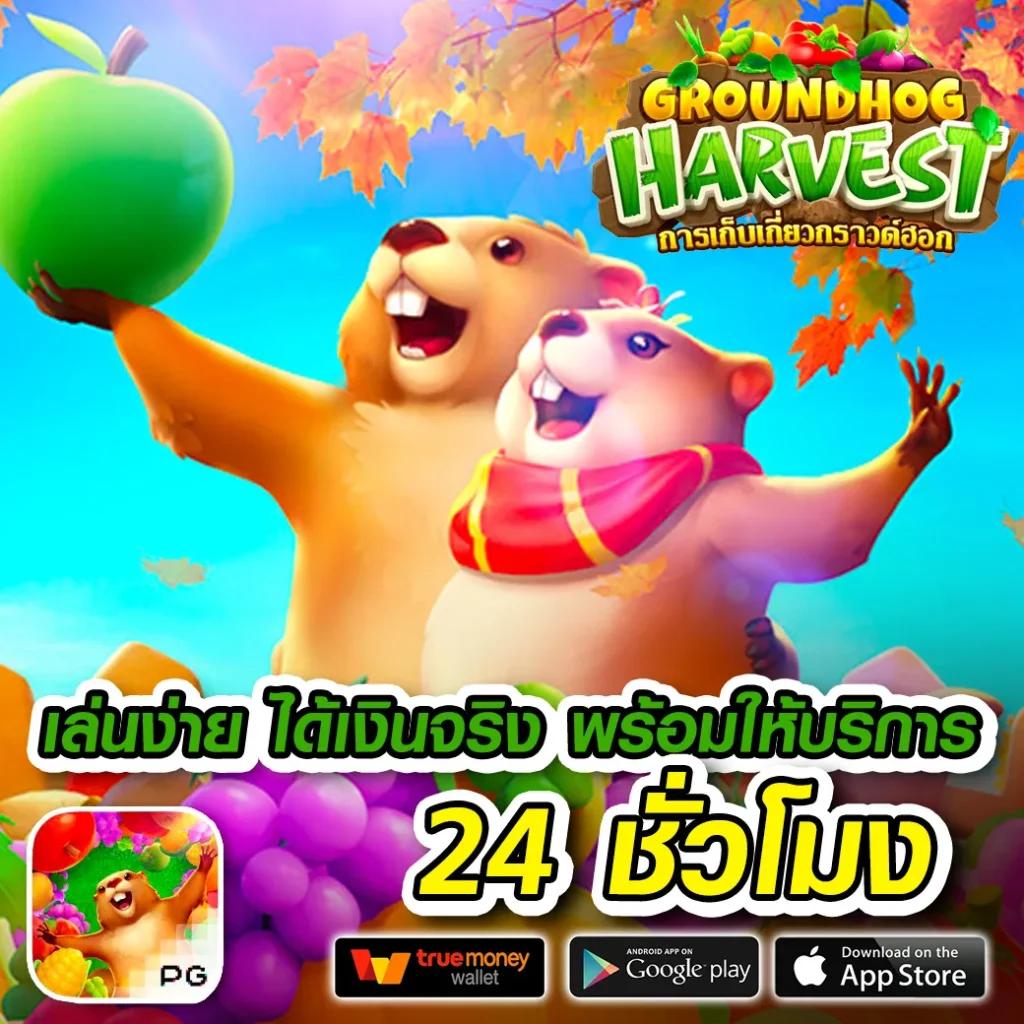 betflix bet คาสิโนออนไลน์ ระบบใหม่ล่าสุด ฝากถอนออโต้ 24 ชม.